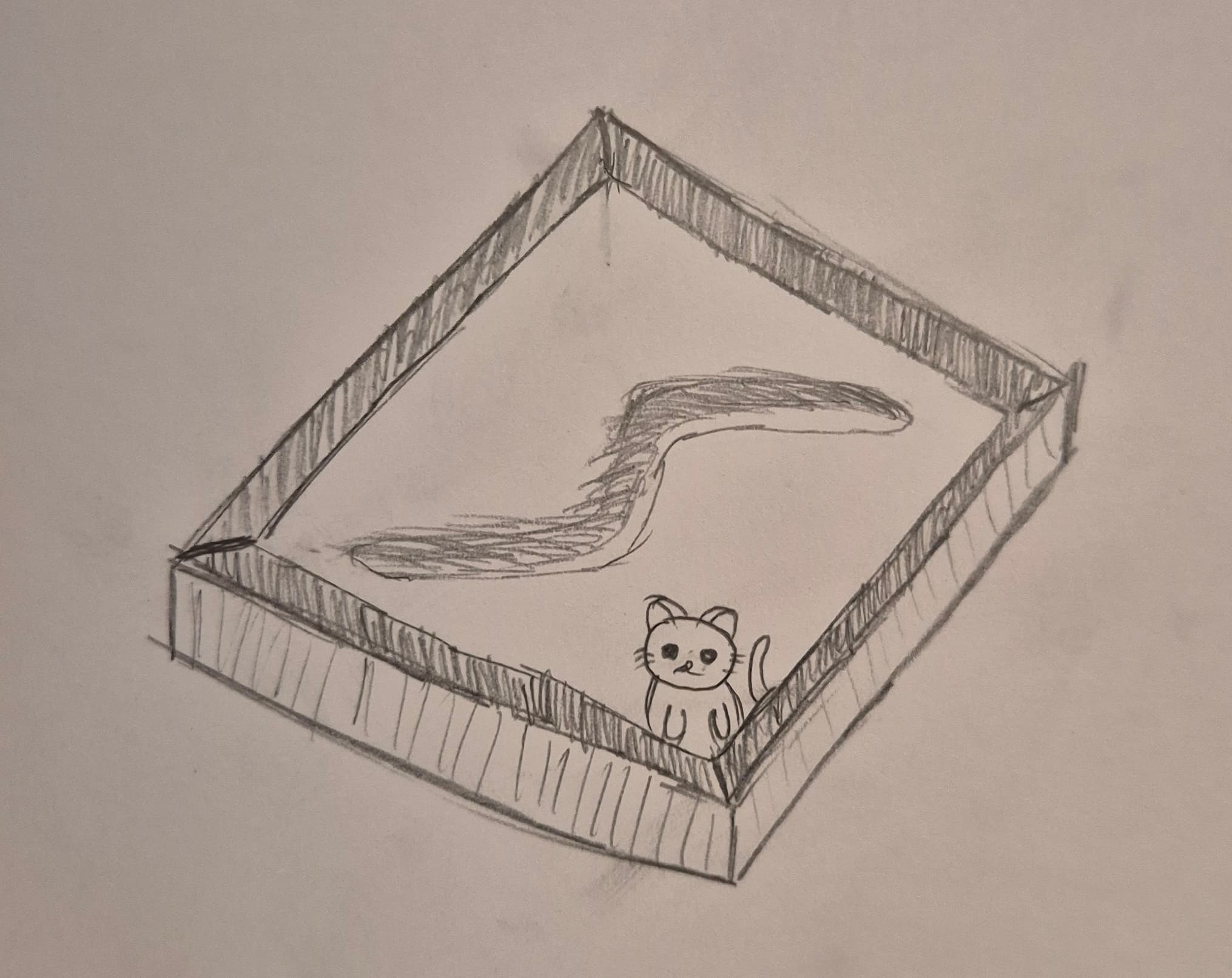 t-shirt design featuring a cat in a sandbox