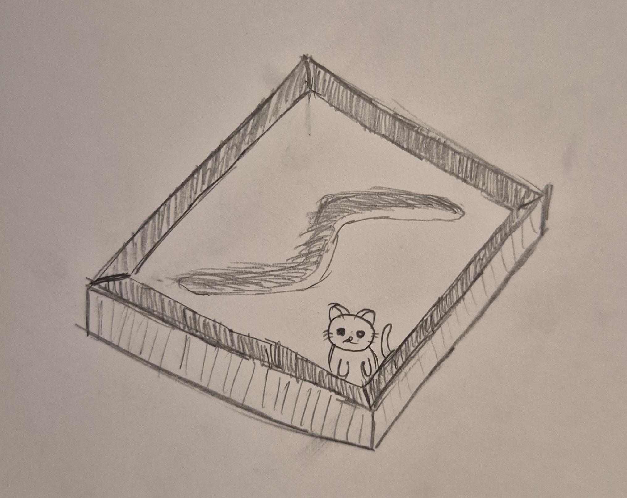 t-shirt design featuring a cat in a sandbox